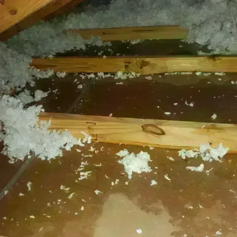 Attic Water Damage in Medford, WI