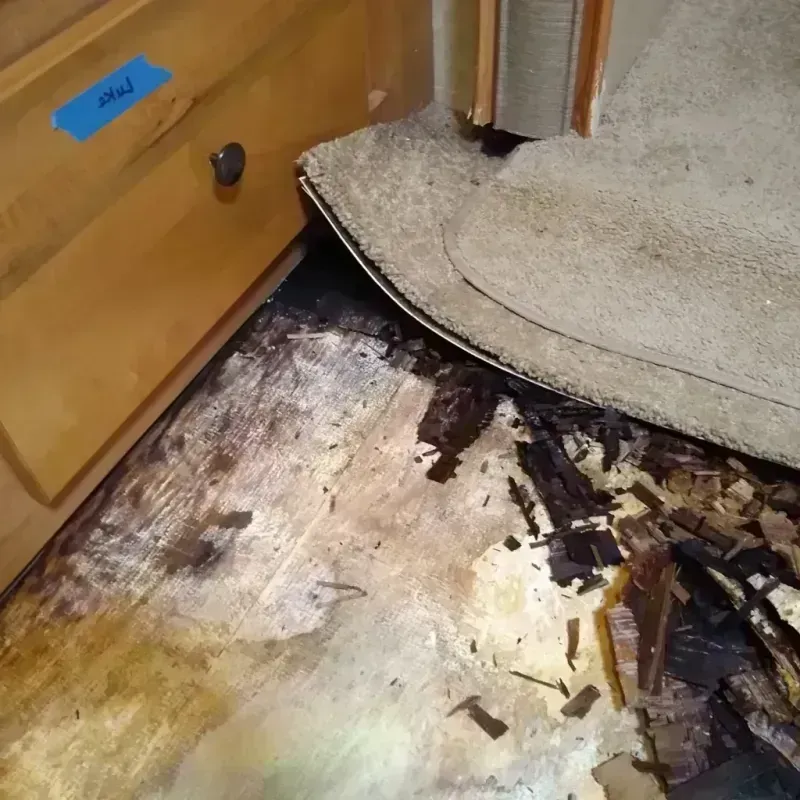 Wood Floor Water Damage in Medford, WI